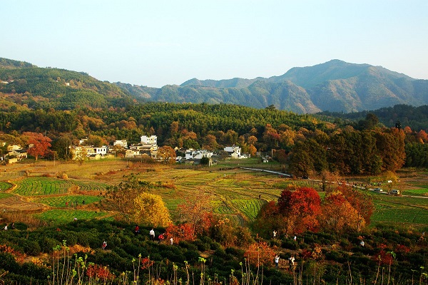 從長沙到黃山、塔川、盧村、西遞、鹽鋪單高單臥四日游休閑養生（湖南自組旅游團）