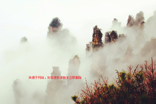 張家界天子山連綿冬雨現(xiàn)曠世云霧仙景