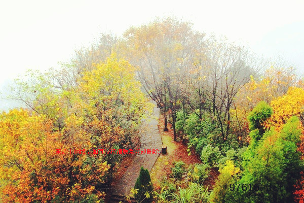 張家界天子山連綿冬雨現(xiàn)曠世云霧仙景