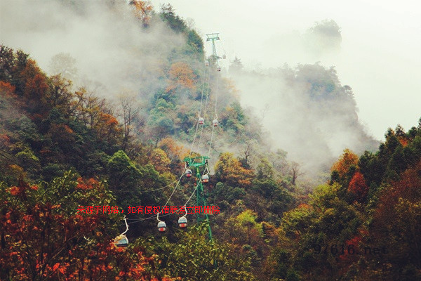 張家界天子山連綿冬雨現(xiàn)曠世云霧仙景