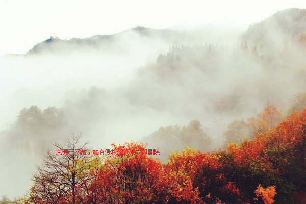 張家界天子山連綿冬雨現(xiàn)曠世云霧仙景