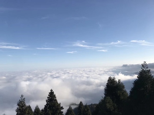 長(zhǎng)沙到南岳衡山一日游住宿吃飯景點(diǎn)旅游攻略