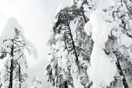 從長沙出發(fā)冬天賞雪泡溫泉旅游目的地推薦