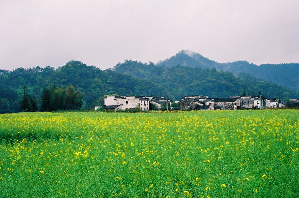 2024年去婺源旅游要多少錢(qián)