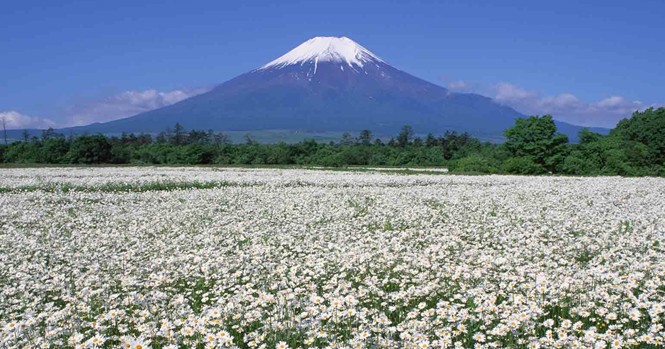 西藏旅游