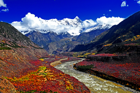 6月份適合去哪里旅游:西藏林芝色季拉山 高原杜鵑遍地開