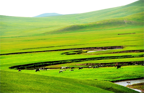 呼倫貝爾大草原最佳旅游時(shí)間