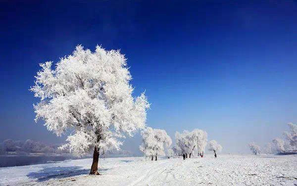 1月份國內最佳旅游目的地推薦:哈爾濱,雪鄉,海螺溝,三亞