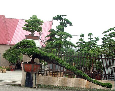 佛山免費旅游景點