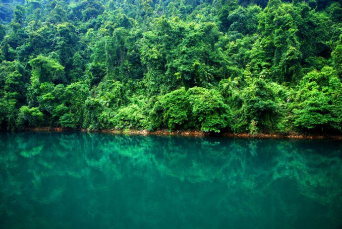 肇慶鼎湖山好玩嗎？鼎湖山有什么好玩的地方