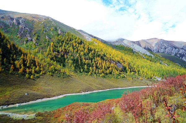 長沙到九寨溝幾日游合適？到九寨溝旅游玩幾天合適