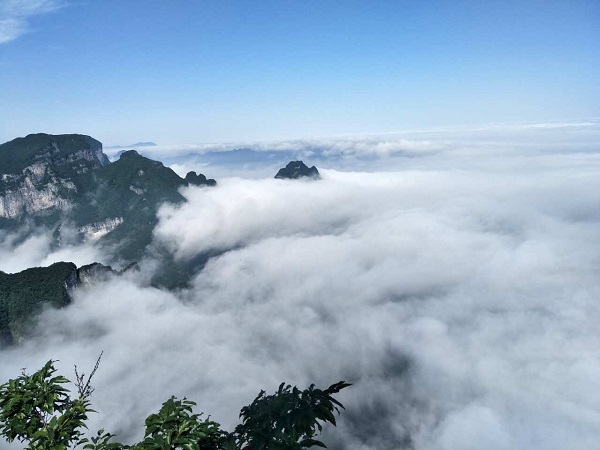 張家界國家森林公園·張家界大峽谷·天門山·鳳凰古城5日游全景旅游