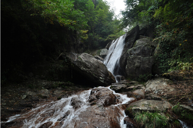 大圍山國家森林公園