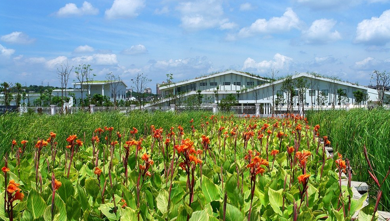 長沙洋湖濕地公園