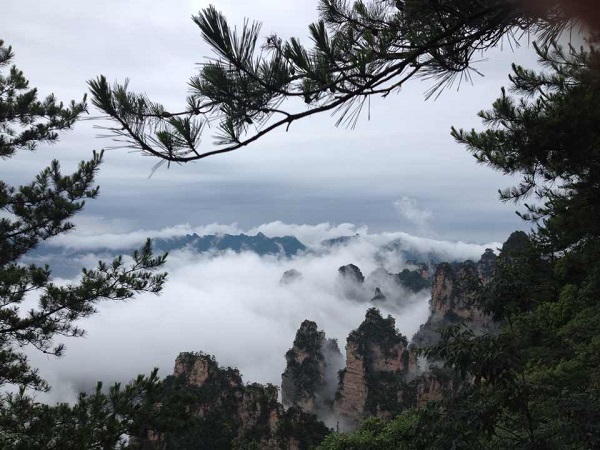 晚班:長沙到張家界大峽谷玻璃橋、張家界國家森林公園、天門山、芙蓉鎮、鳳