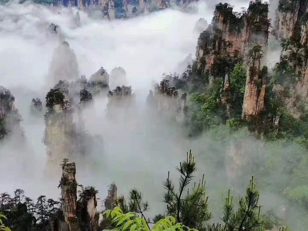 晚班長沙到張家界、張家界大峽谷玻璃橋、天門山純玩品質3晚3日游