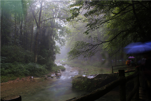 張家界核心景區武陵源（張家界國家森林公園）金鞭溪