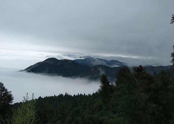 長(zhǎng)沙到南岳衡山大廟一日游自助旅游