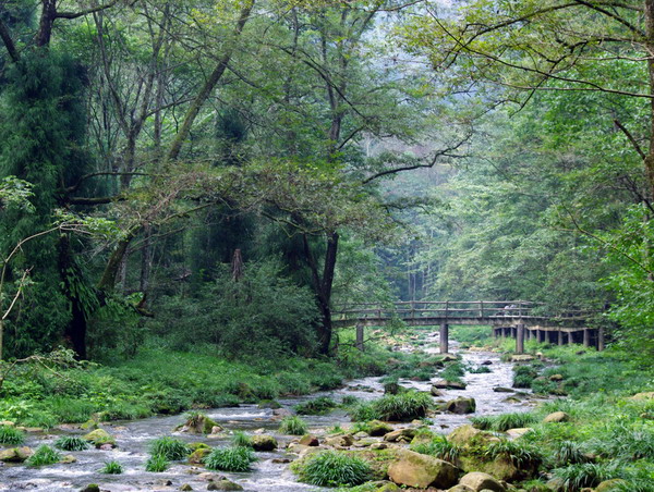 晚班長(zhǎng)沙到張家界、天門山、鳳凰古城純玩五日游團(tuán)購(gòu)旅游(獨(dú)家