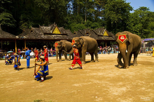 迷情西雙版納-從長沙直飛到西雙版納雙飛五日游品質(zhì)旅游