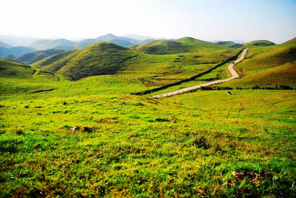 從長沙到邵陽城步南山牧場草原風情二日游