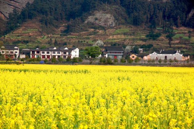 湖南崀山賞花踏青自駕游攻略\景點\旅游路線