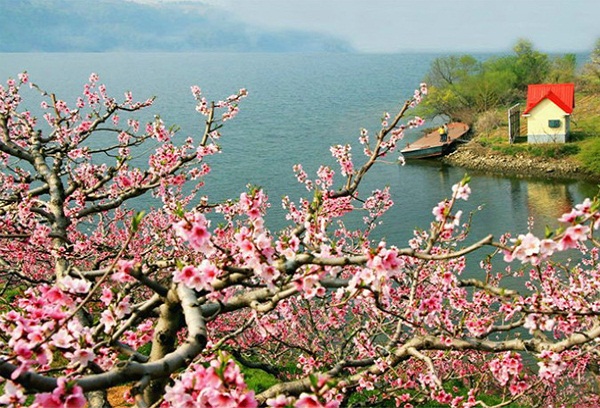 岳陽/長沙/株洲/湘潭到湖北屈原故里?西陵峽口?三峽大壩?世外桃源?快樂谷