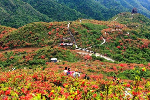 大圍山國家森林公園