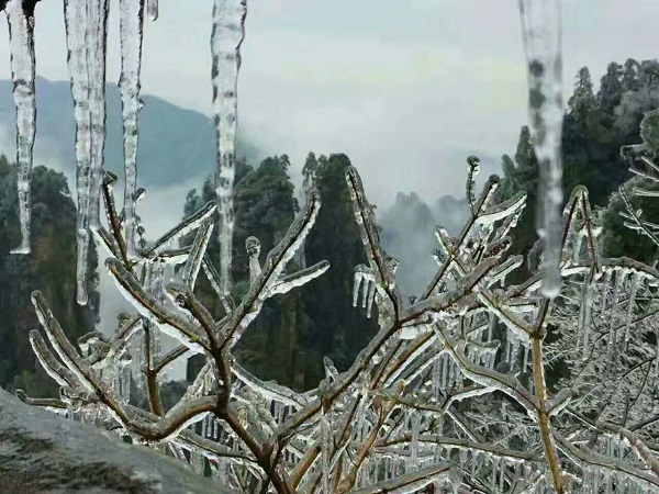 到張家界冬季旅游看冰雪童話世界