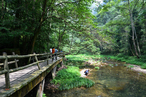 長(zhǎng)沙到張家界旅游攻略最全景點(diǎn)